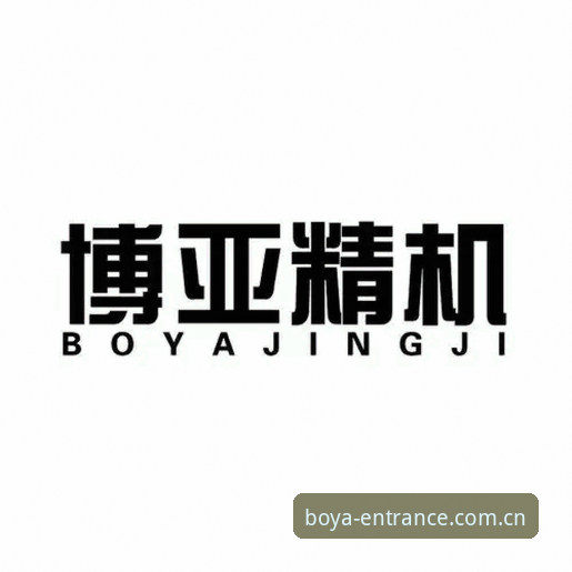 博亚娱乐平台入口问题深度分析：BOYA唯一入口手机版全攻略与最新网址解析